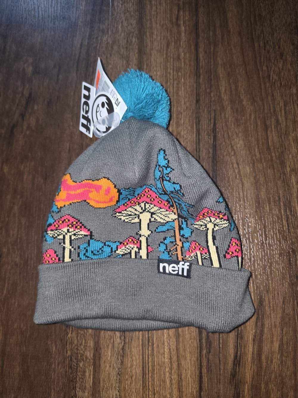 Neff Gray Beanie with Teal Pom and Colorful Mushroom Knit